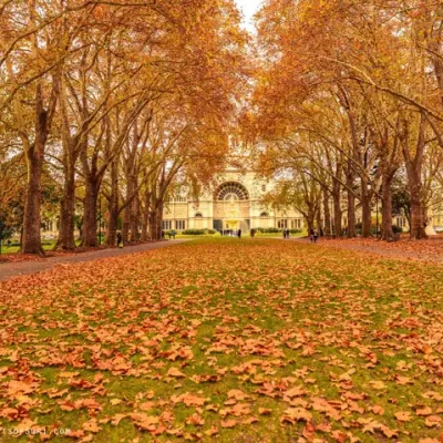 Carlton-Gardens