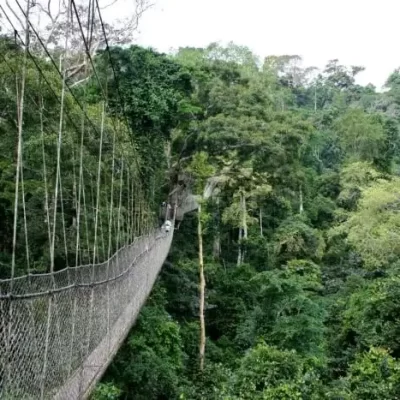Kakum-National-Park